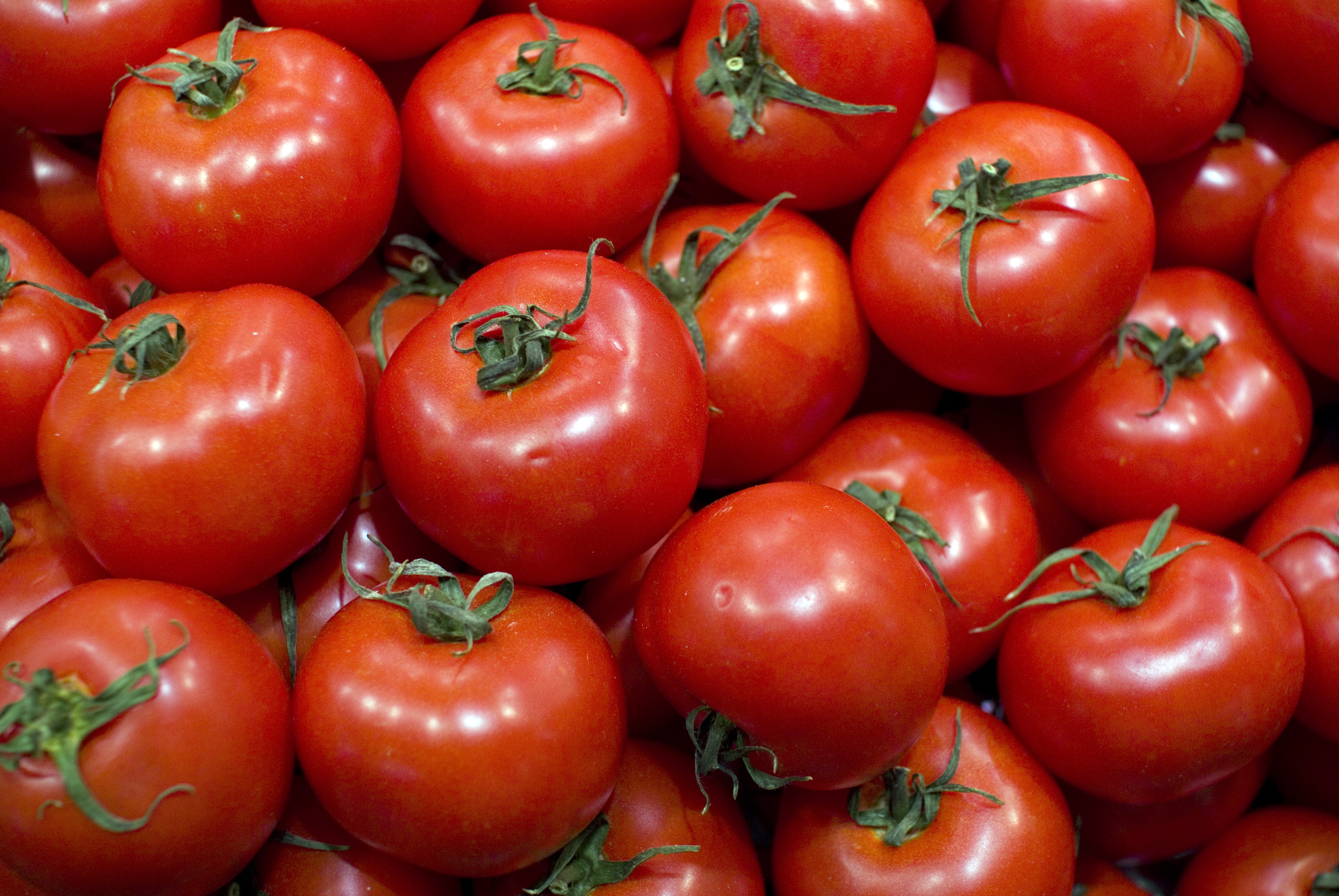 Tomate combate o envelhecimento e possui vitamina A  (Foto: Reprodução)